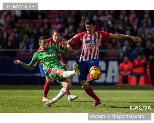 足球足球的魅力与激情探索足球文化的深厚底蕴与未来发展趋势